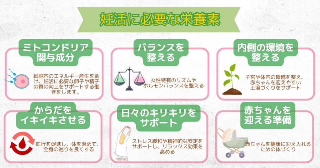 ベルタプレリズムの栄養