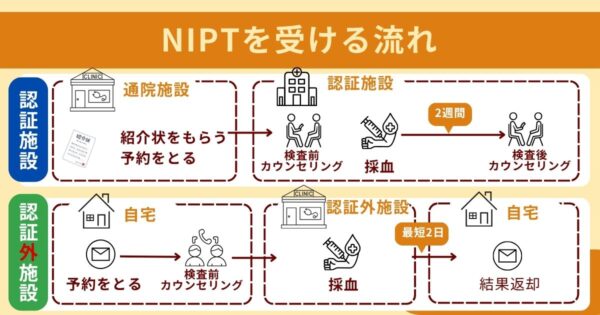 NIPTを受ける流れ