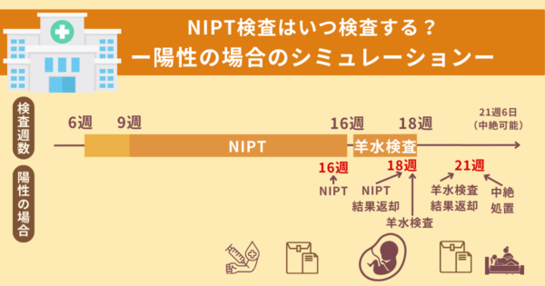 NIPTの検査時期