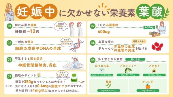 妊娠と葉酸