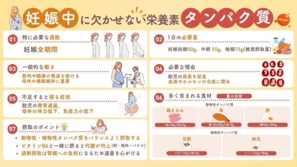 妊娠とタンパク