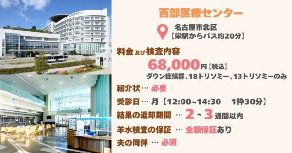 Seibuiryou-wlc_NIPT_Aichi_cost