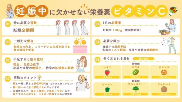 妊娠とビタミンC