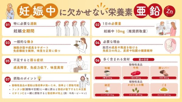 妊娠と亜鉛