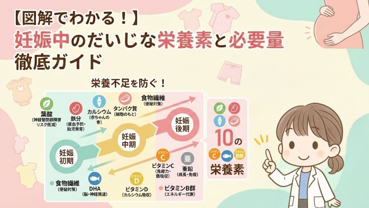妊娠中の栄養と必要量